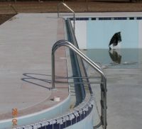 borgo36.jpg